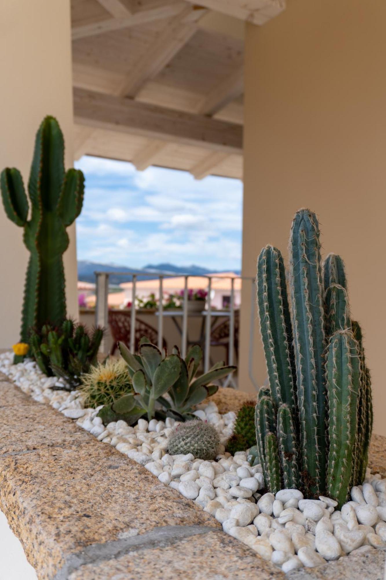 Dicciosu Guest House Budoni Esterno foto