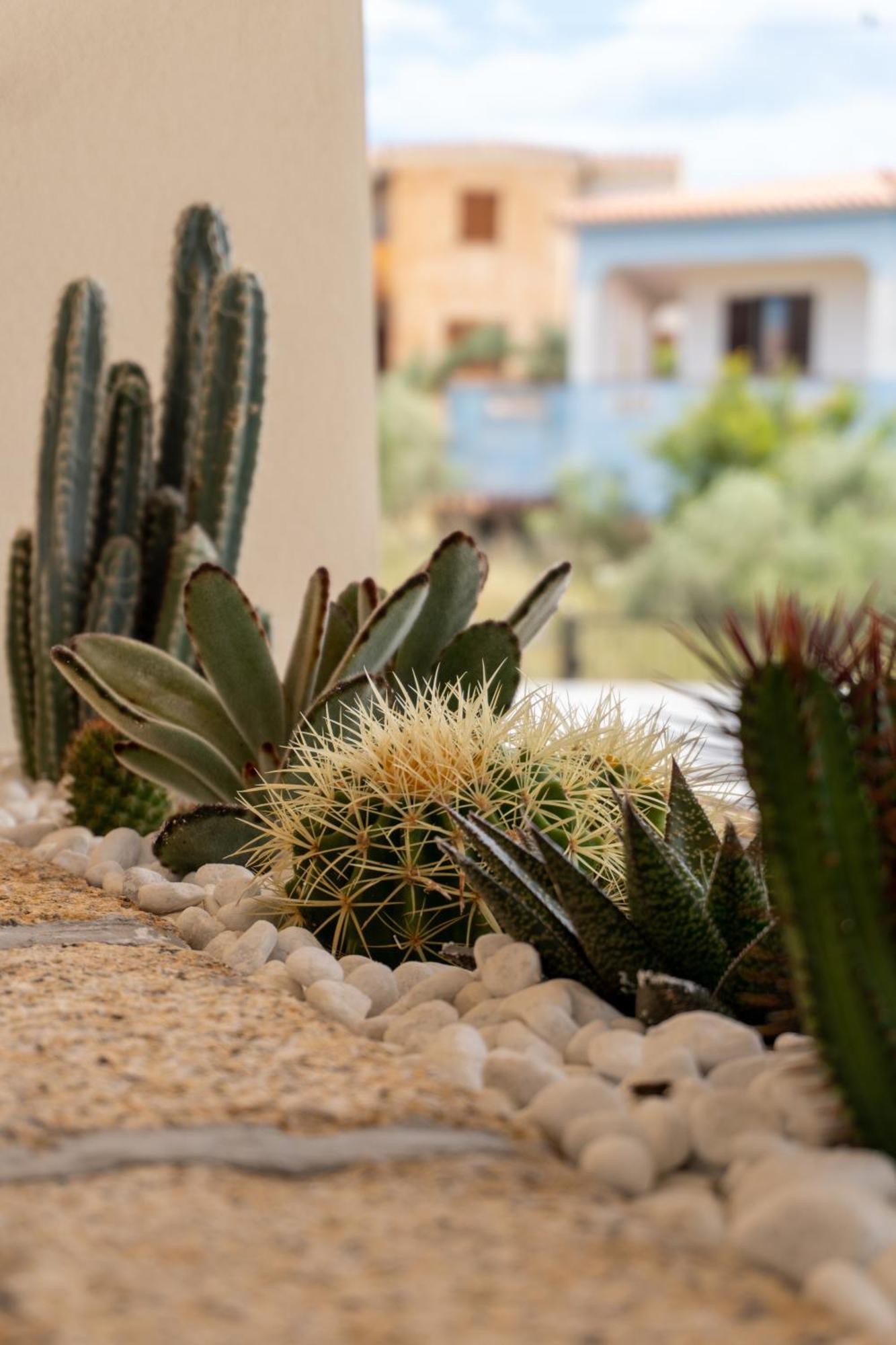 Dicciosu Guest House Budoni Esterno foto